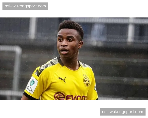 多特蒙德锋线重组在即，穆科科阿莱雷纳清洗计划曝光